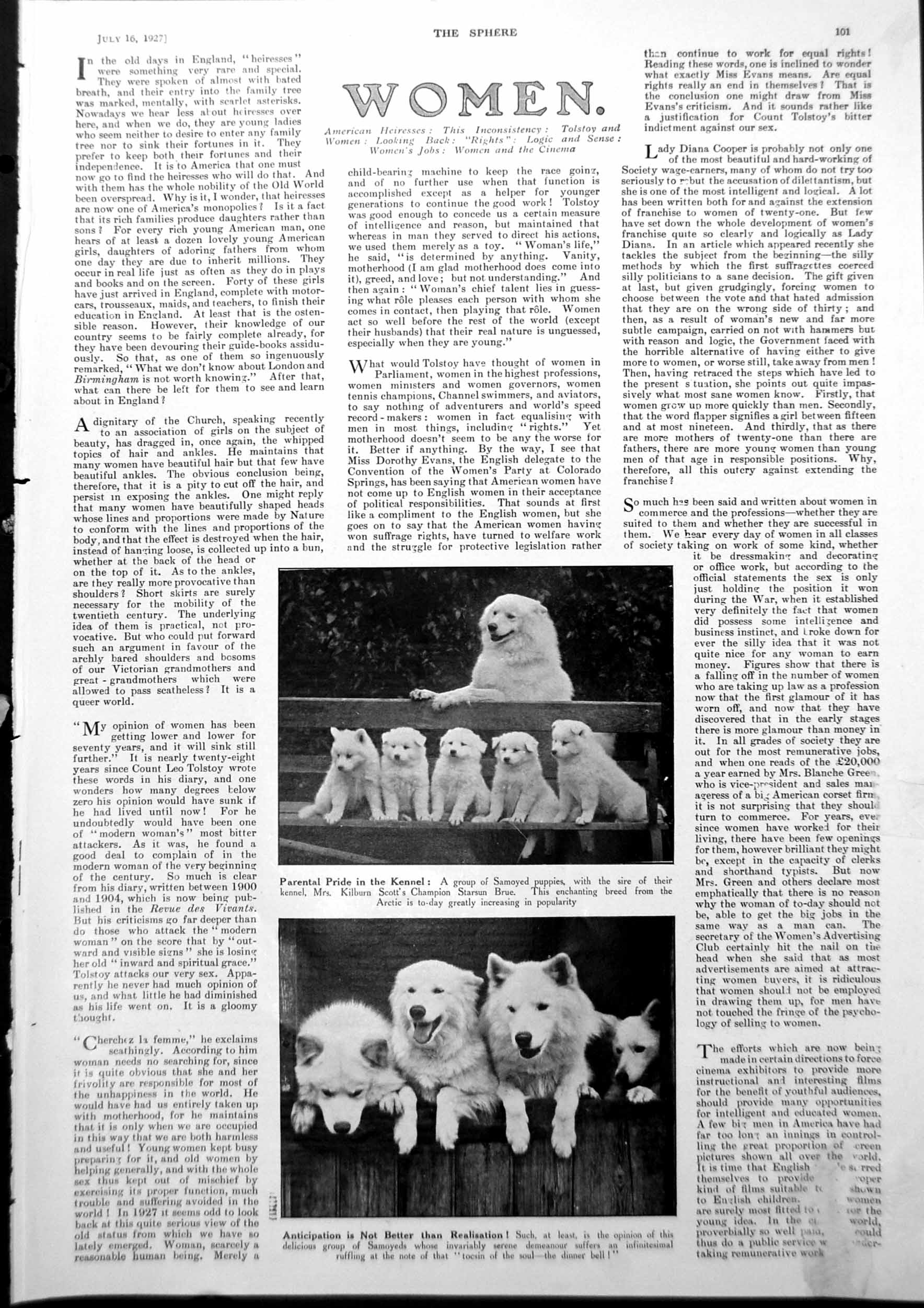 Antique Old Print Samoyed Puppies Sire Dogs Drama Caricatures Tom Titt 1927