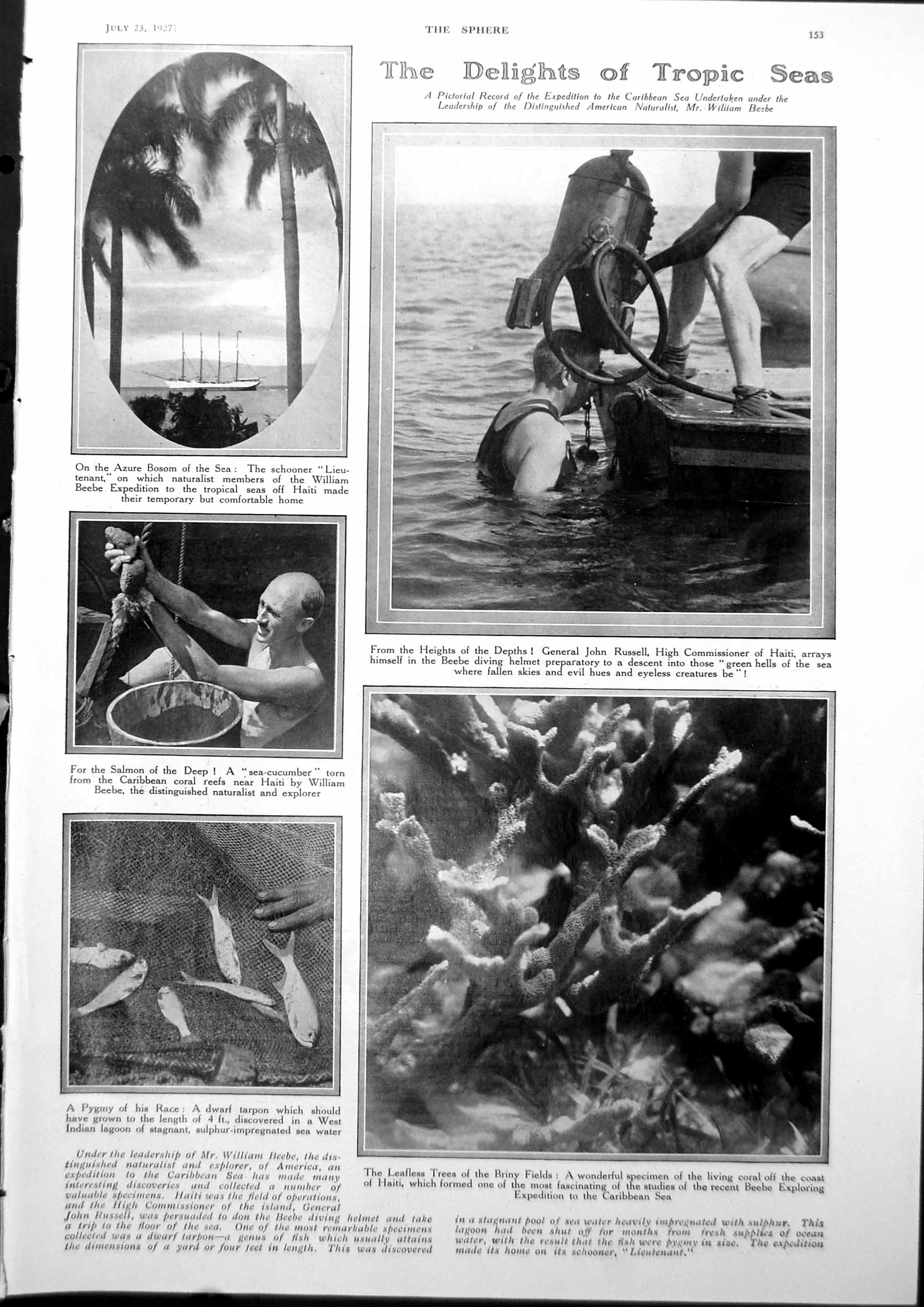 Old Print Living Coral Off Haiti Tropical Seas King John Runnymeade 1927 20th