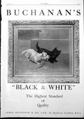 Antique Old Print Black And White Dog Buchanans Advert Singer Saloon Car 1927