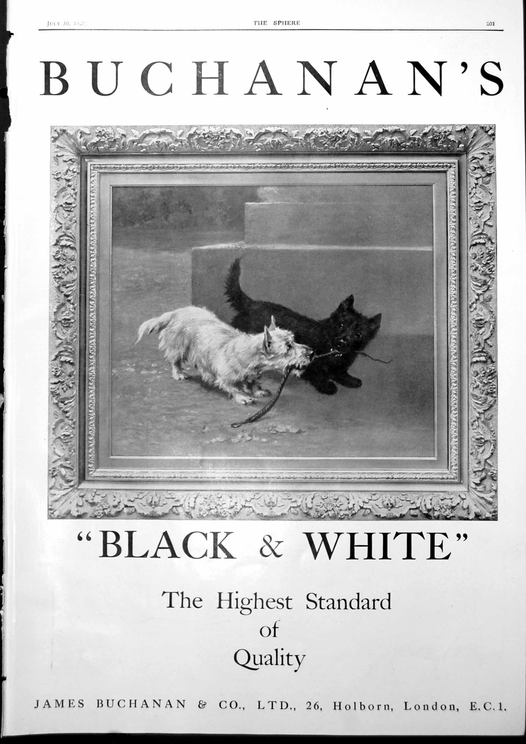 Antique Old Print Black And White Dog Buchanans Advert Singer Saloon Car 1927