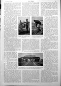 Antique Old Print Sting Ray Man Digging Shells Daru Thumbnail Portraits 1927