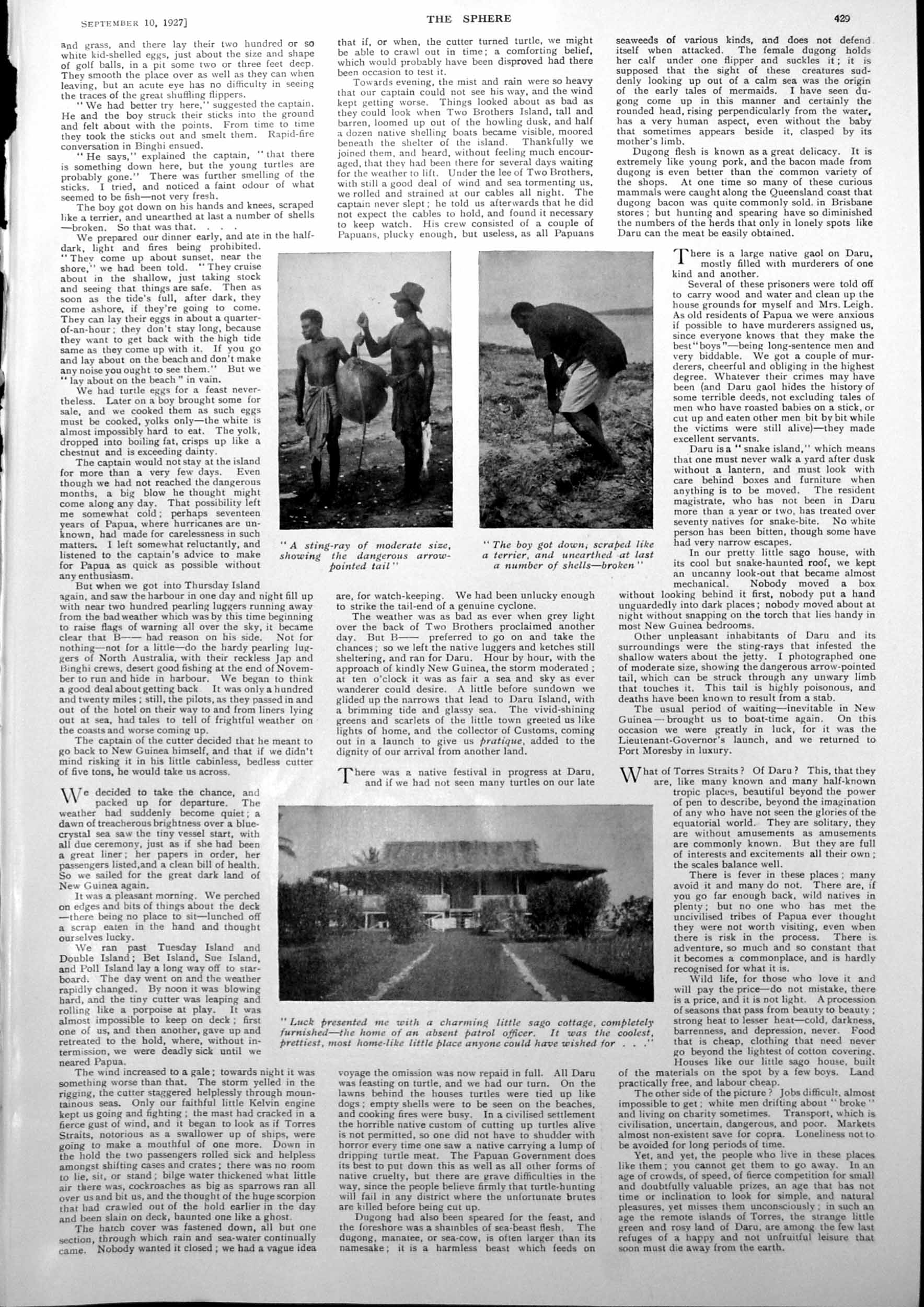Antique Old Print Sting Ray Man Digging Shells Daru Thumbnail Portraits 1927