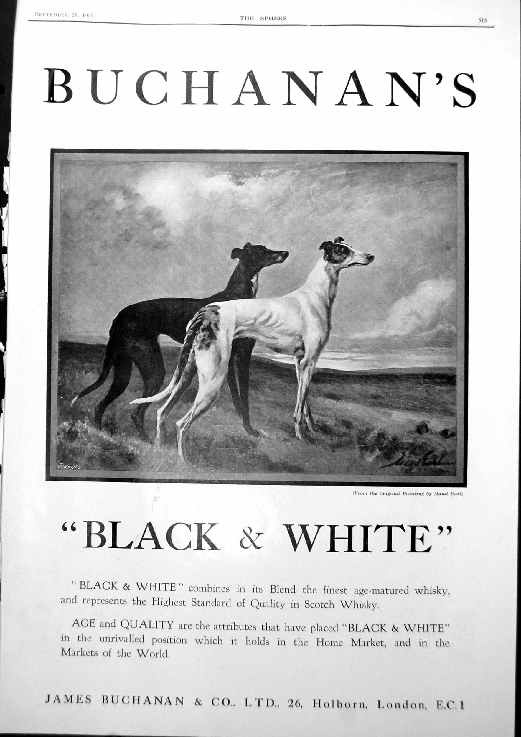 Antique Old Print Black And White Advert Dogs Marmon Showrooms London 1927 20th