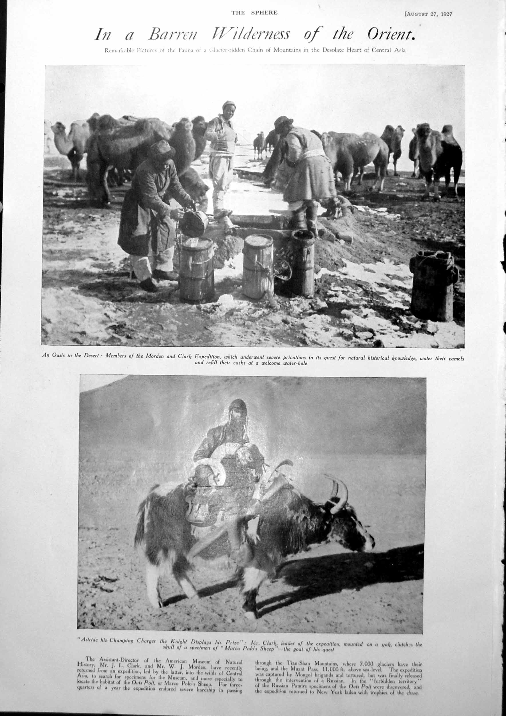 Antique Old Print Oasis Desert Camels Water Casks Yak Telegraph Coach 1927 20th