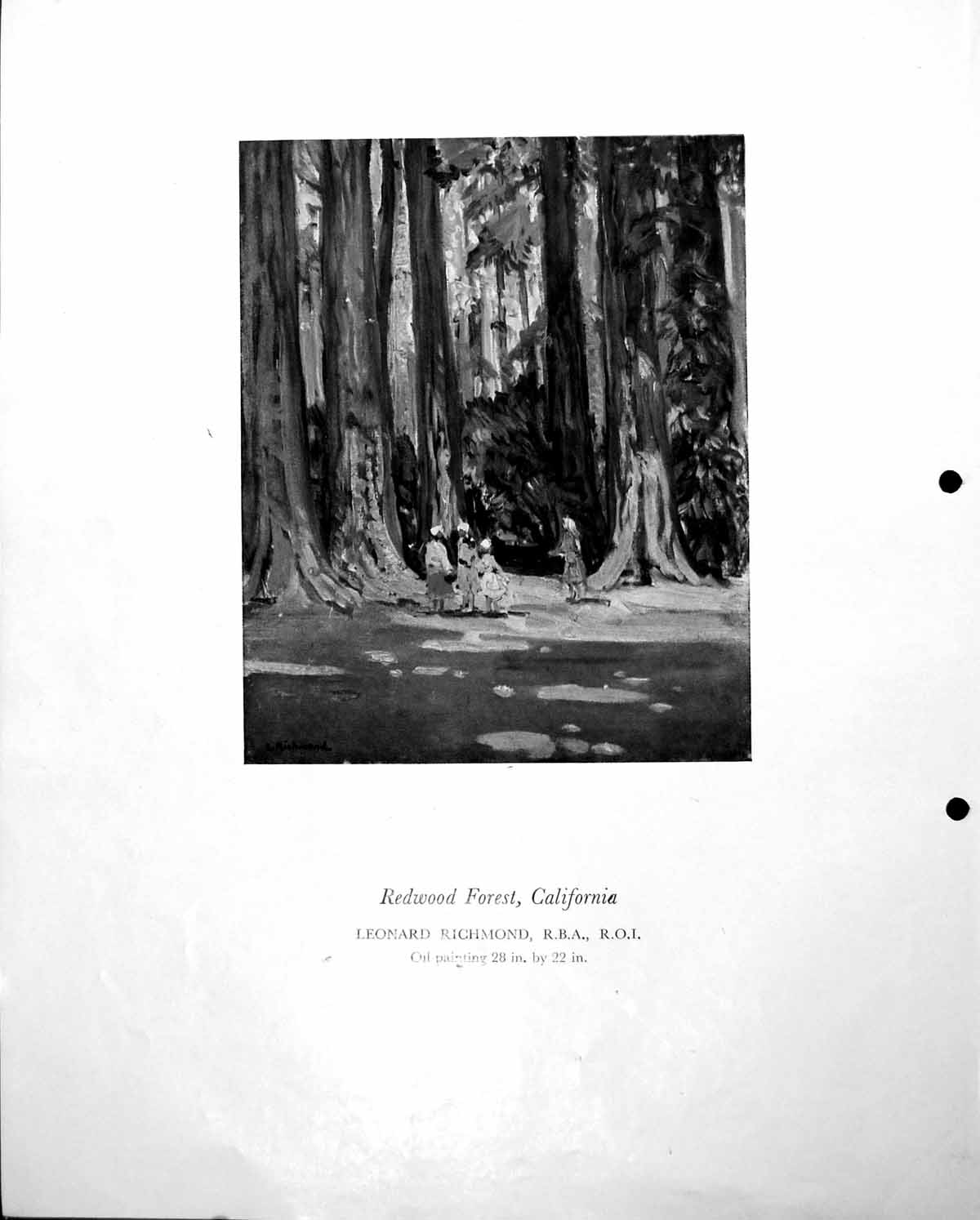 Old Vintage Print Redwood Forest California Leonard Richmond People C1952 20th