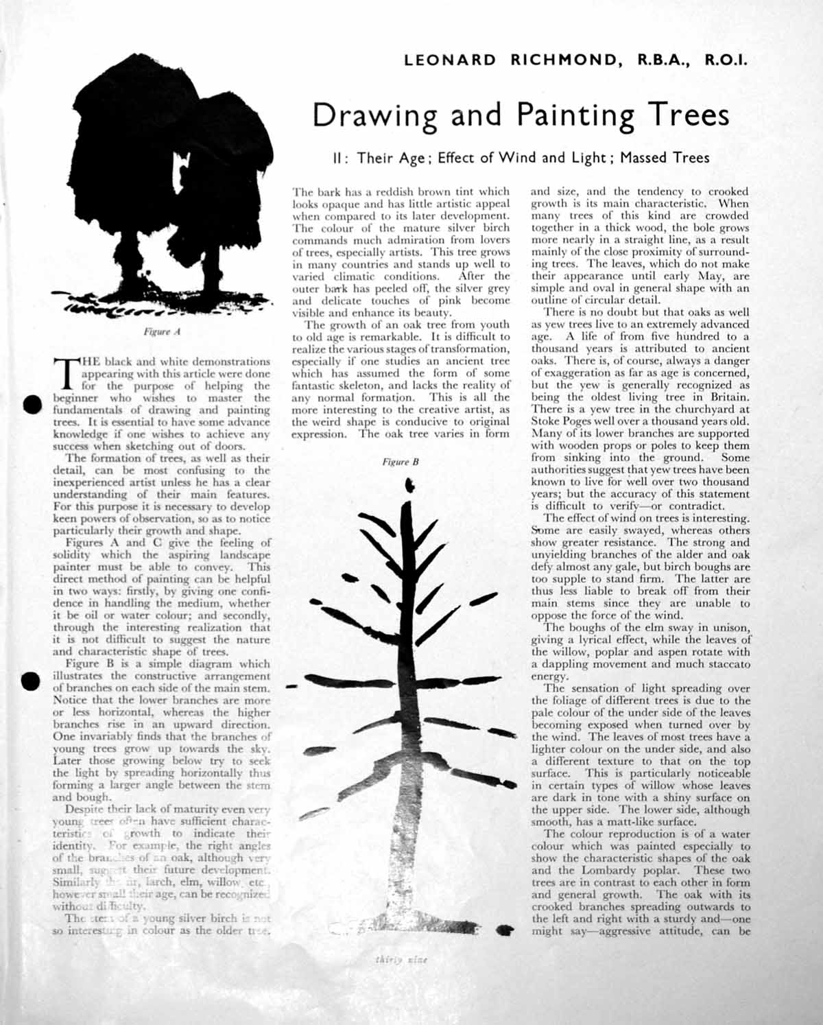 Old Leonard Richmond Drawing Trees Age Effect Wind Light Mass C1952 20th