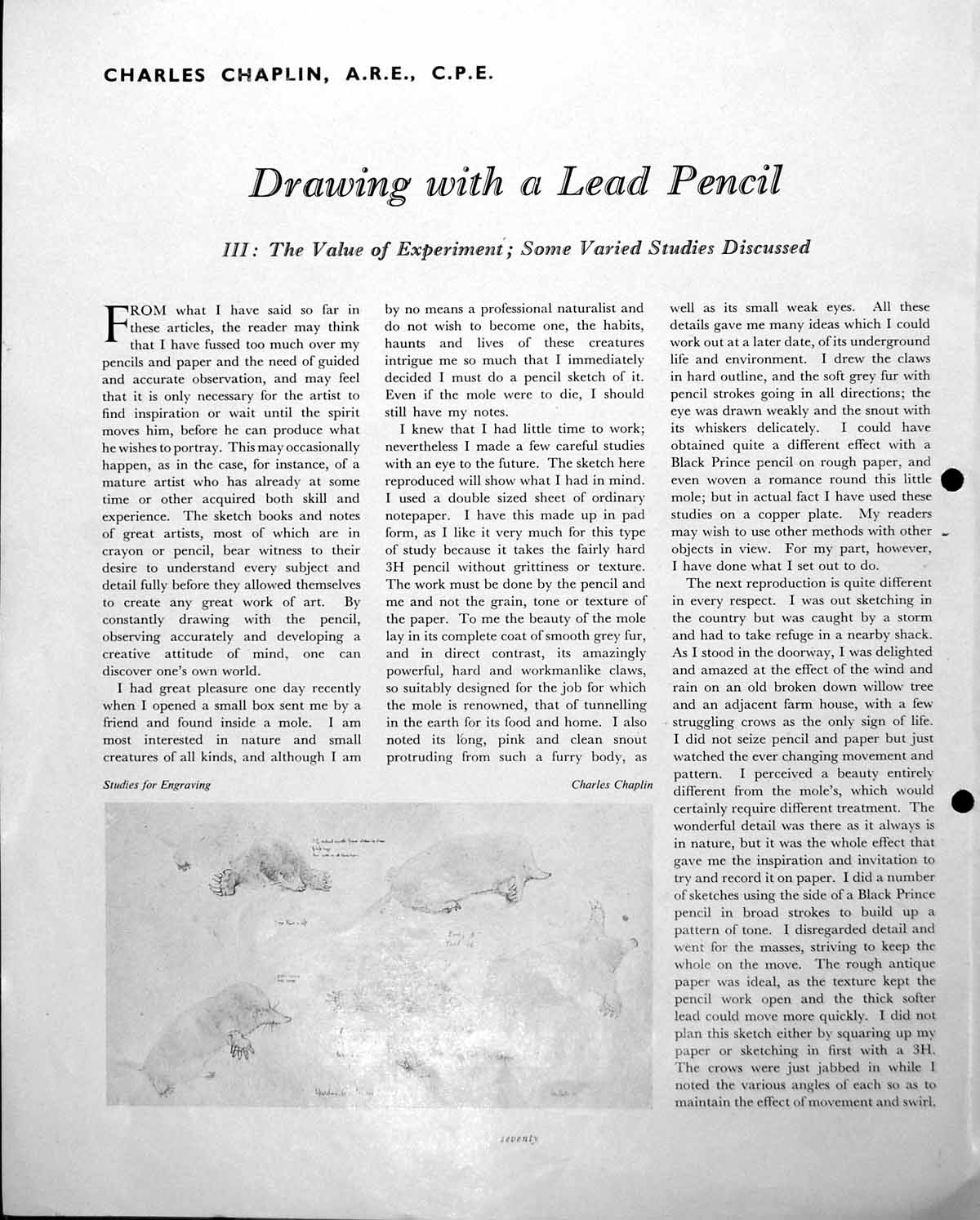 Old Drawing Lead Pencil Studies Engraving Mole Charles Chaplin C1952 20th