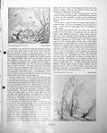 Old Vintage Print Charles Chaplin Storm Pencil Study Tree Movement C1952 20th