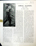 Antique Old Print Flowerpiece Adrian Allinson Tal Lily Vase Windowsill 1944