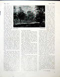 Old Vintage Print Autumn Winds Adrian Bury Landscape With Trees Sky 1944 20th