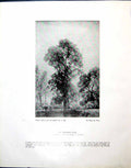 Old Print The Watering Place Peter De Wint John Cowper Powys A Bury 1944 20th