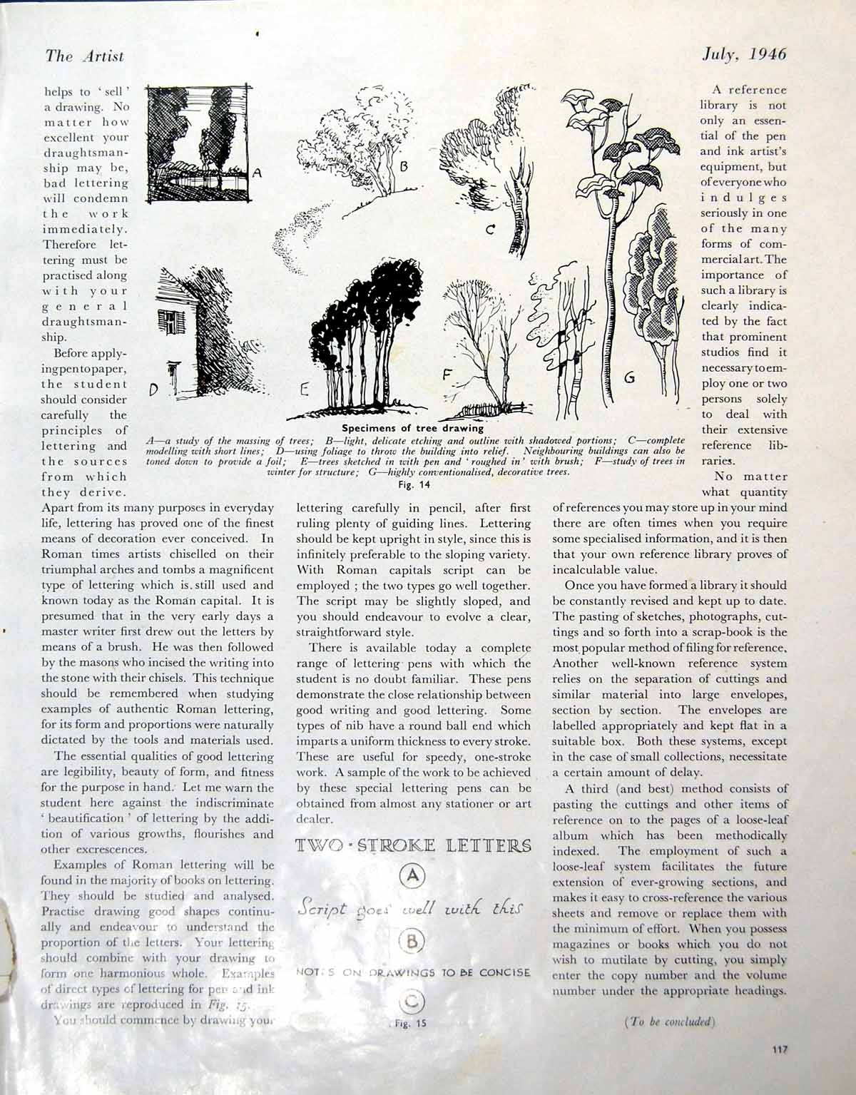 Antique Old Print Study Massing Trees Lettering Rough Fashion Drawing 1946