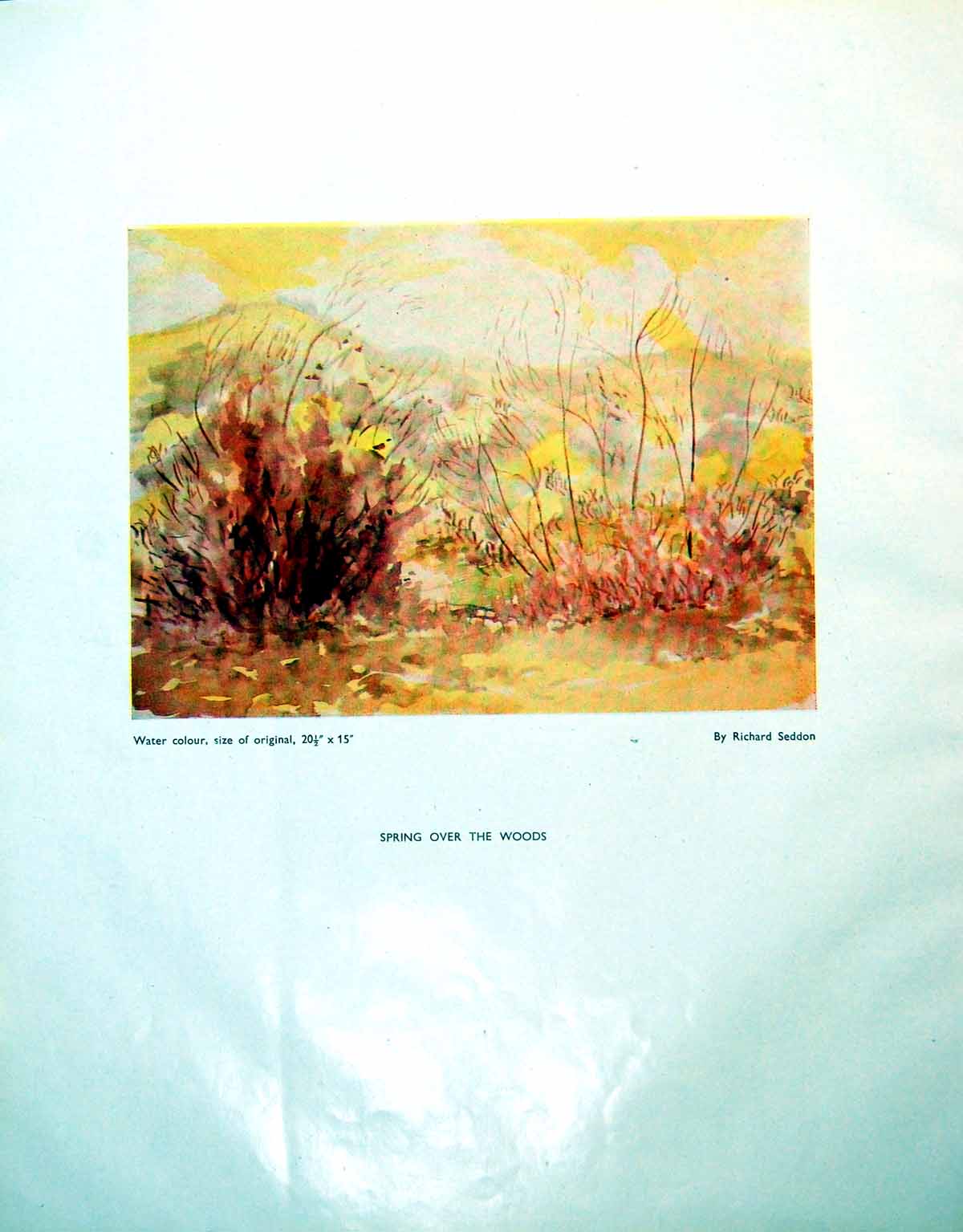 Antique Old Print Spring Over The Woods Richard Seddon Wood On A Hill 1946