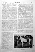 Antique Old Print Man Horse Mrs Hartley F Batt Horse Driving Ranelagh 1900 0