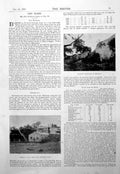 Antique Old Print Damaged Ancient Workings Rhodesia Geelong Mine Cyanide 1900
