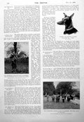 Antique Old Print Lord Rossmore'S Shooting Party Rossmore Duke Montrose 1900