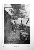 Old Print Captain Pretyman'S Duck Decoy Sandringham House Interior 1900 20th