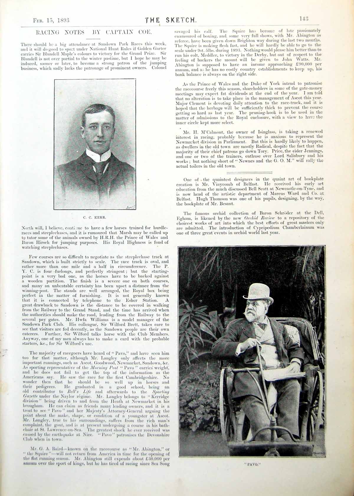 Old Antique Print Cc Kerr Portrait Pavo Suffering Gout In Bathchair 1893 19th