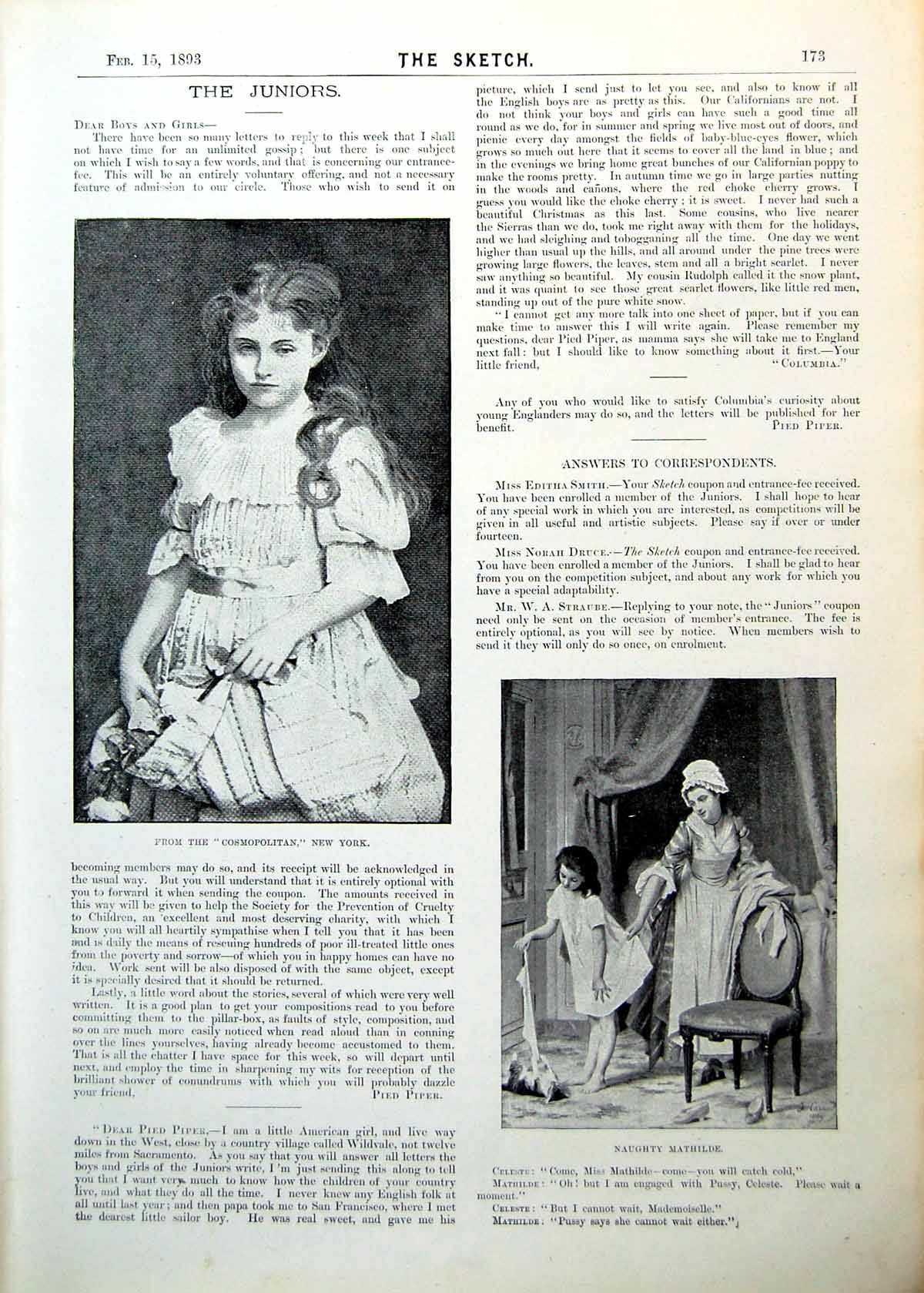 Old Juniors Young Lady Dress Naugthy Child Cat Boy Bird Sketch 1893Victorian