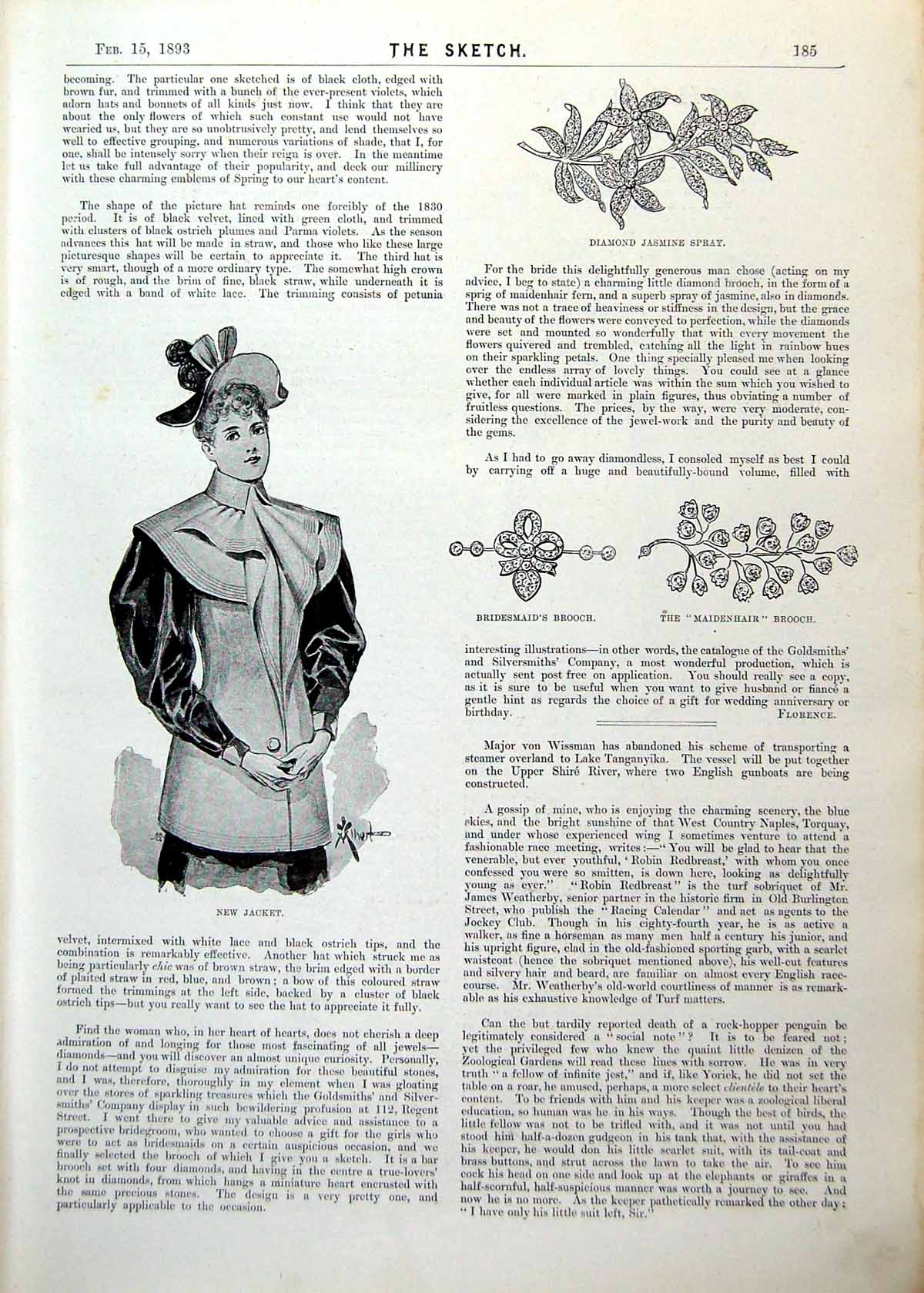 Antique Old Print Ladies Page Jacket Brooches County Councillor Play 1893 19th