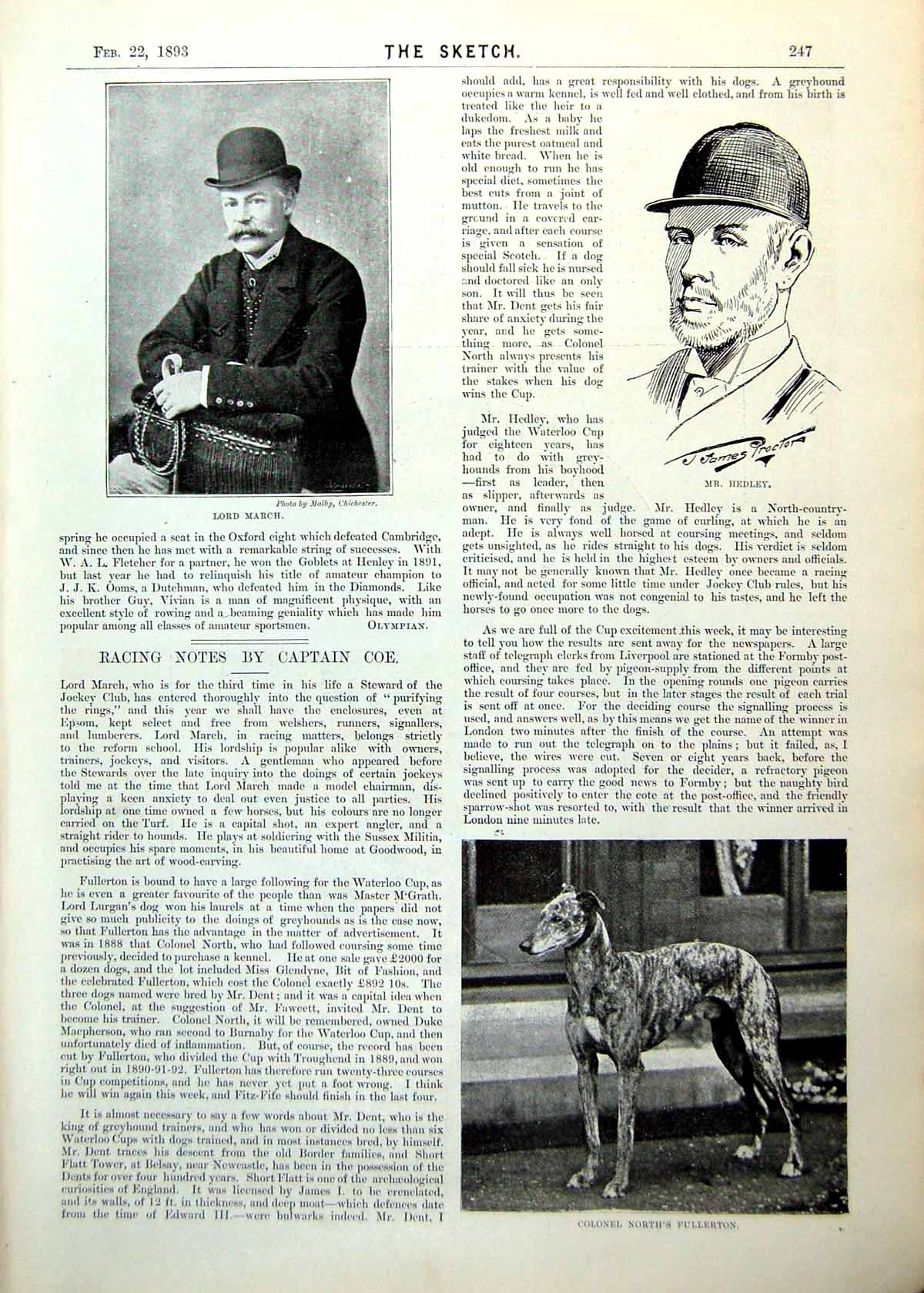 Antique Print Lord March Hedley Racing Dog His Holiness Pope Leo Xiii 1893