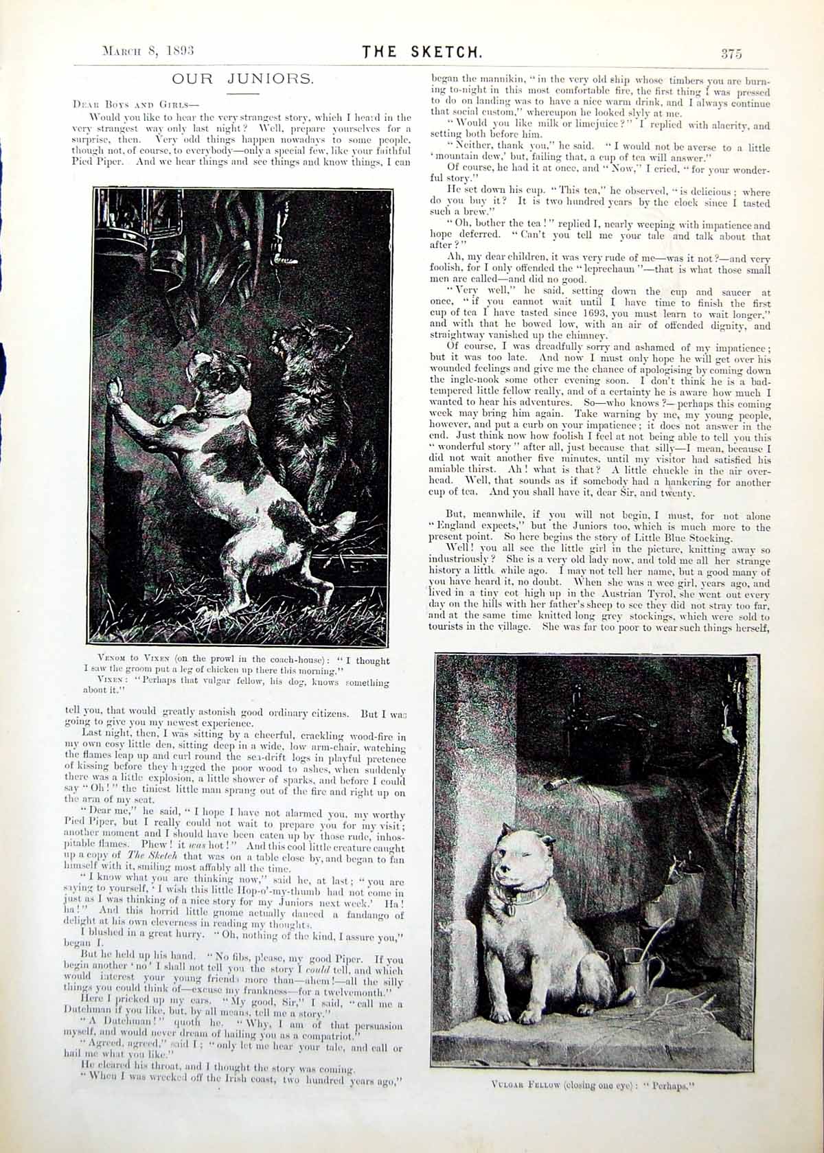 Old Print Dogs Looking Food Stables Girl Standing Dog Sheep Juniors 1893 19th