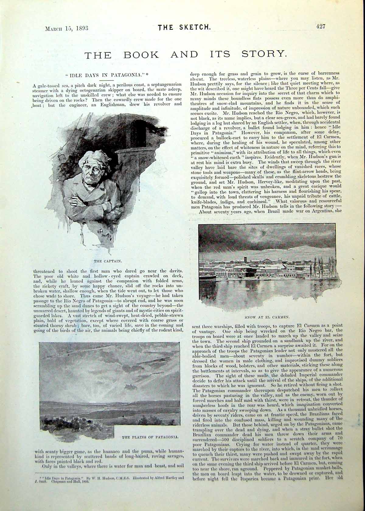 Old Print Captain Snow Patagonia Plains Organ-Bird Eagle-Owl Flower 1893 19th