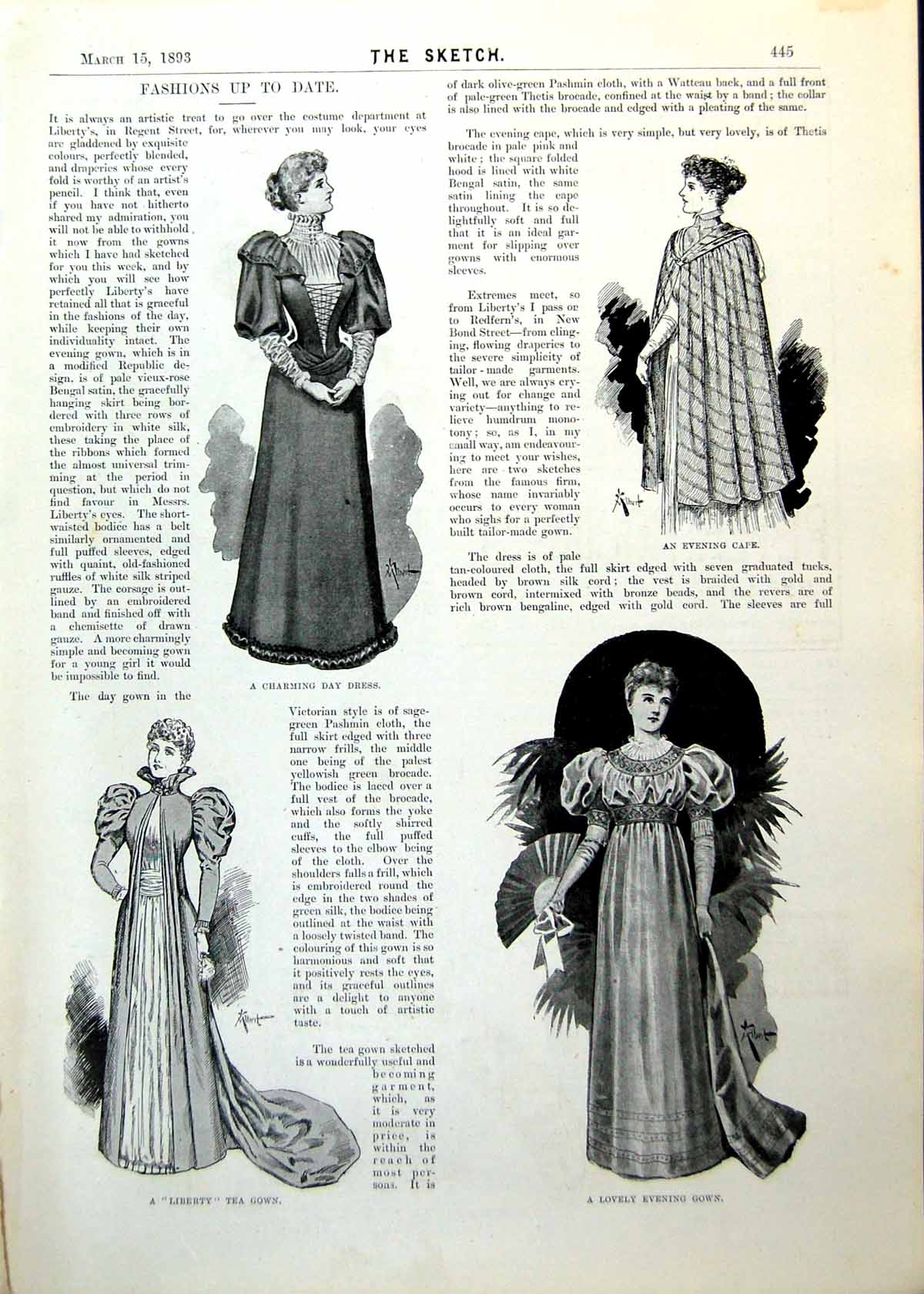 Old Print Fashions Day Dress Evening Cape Tea Gown Costumes Amazons 1893 19th