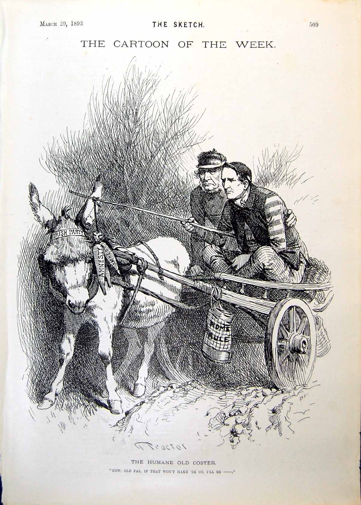 Antique Old Print Leading Irish Party Donkey Carrots Amnesty Men Cart 1893 19th