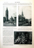 Antique Old Print Vervolet Hern Roxby Art Some Queer Fish Edgar Wilson 1893