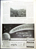 Antique Print Auvergne Near Condat Bird'S Custard Advertsmonkey Brand 1910