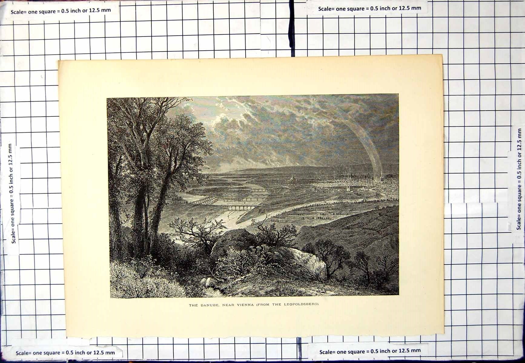 Original Old Antique Print The Danube Near Vienna From The Leopsberg Bridges