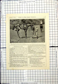 Old Print Punch Cartoon Lightweight Waiting For Valet Trainer Horse 1896 19th