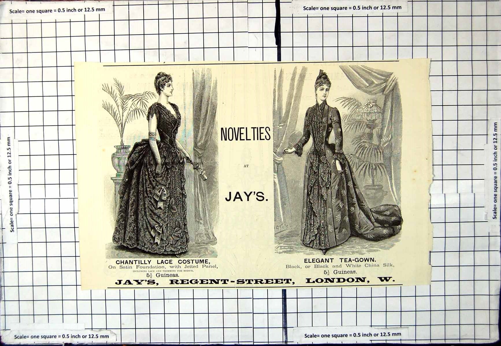Old Print Novelties Jay'S Chantilly Lace Costume Elegant Tea-Gown London 20th