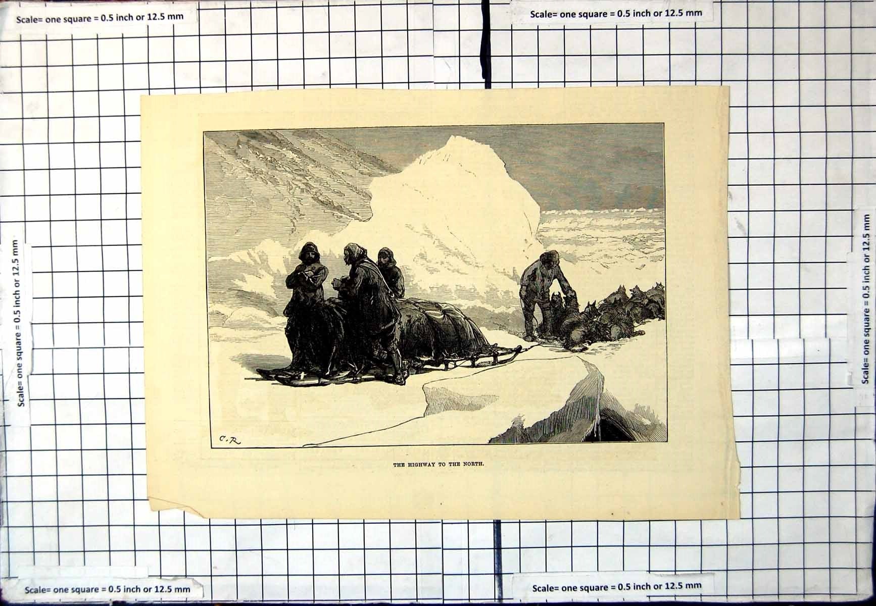 Original Old Antique Print Highway To The North Dog Sleds Arctic Ice Packs Cr