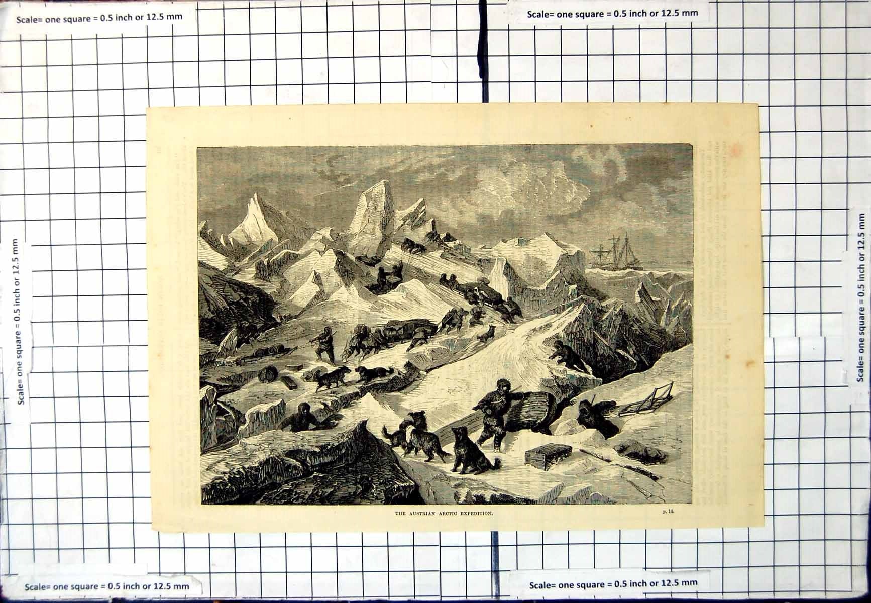 Antique Old Print The Austrian Arctic Expedition Uneven Icepacks Dogs Sleds