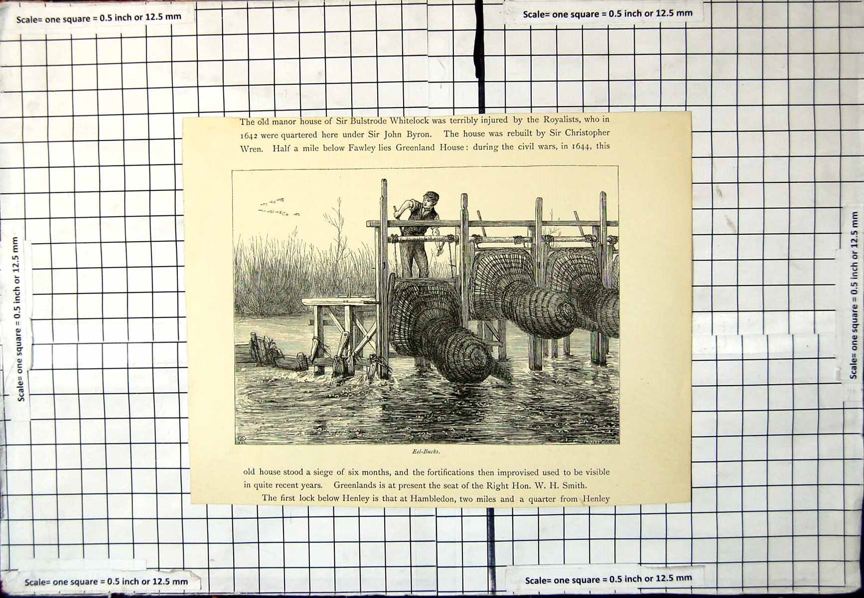 Original Old Antique Print Eel-Bucks Man Lowering One Three Traps Into River