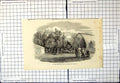 Old Antique Print The Great Conservatory From A Daguerrotype By Kilburn