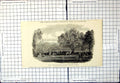 Antique Old Print Ban Rhododendron Circle Chiswick Fete Daguerrotype Kilburn