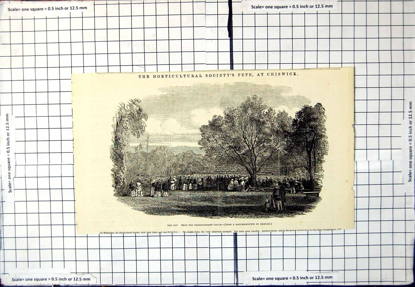 Antique Old Print Ban Rhododendron Circle Chiswick Fete Daguerrotype Kilburn