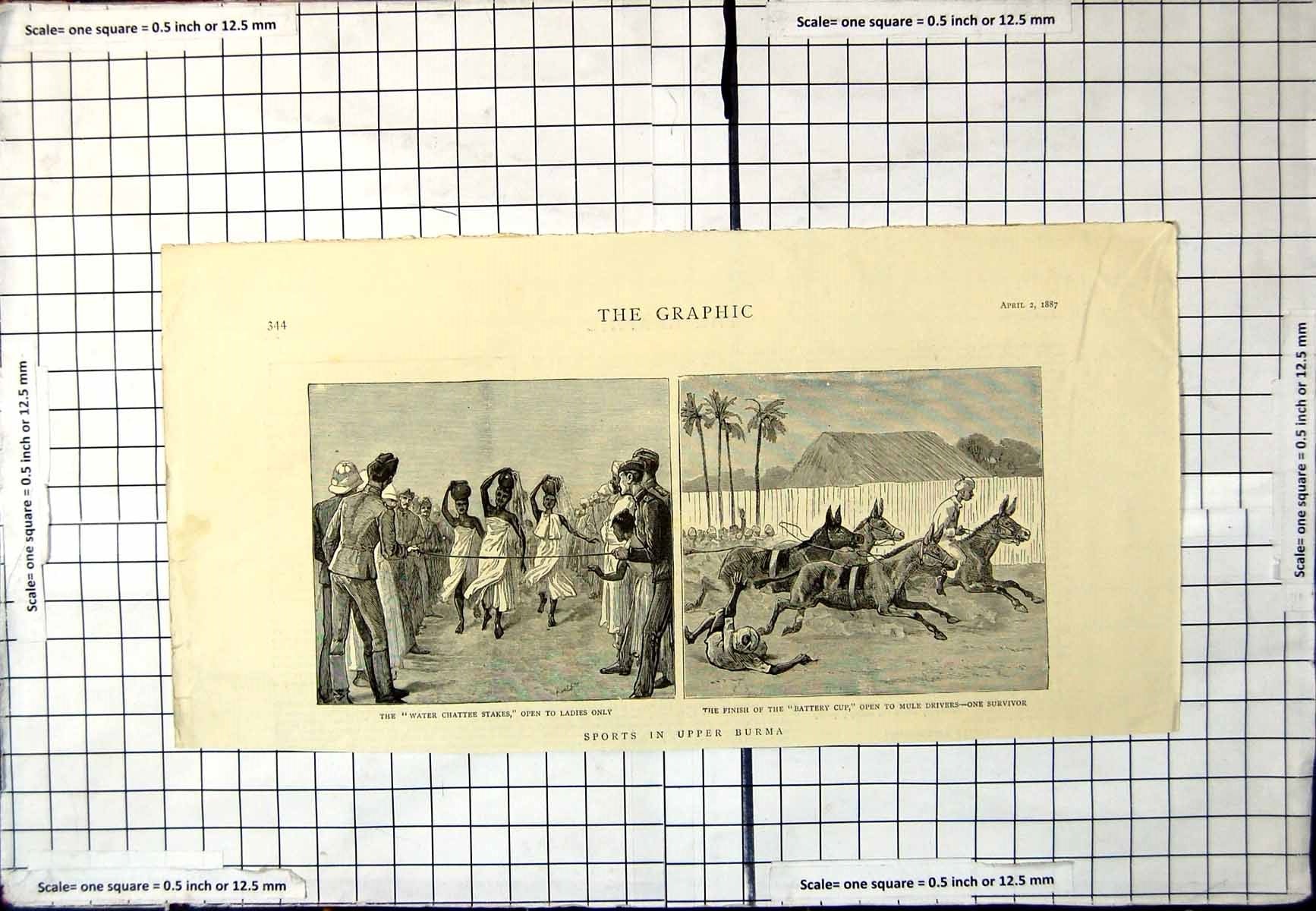Old Print Sports Upper Burma Water Chattee Stakes Ladies Only Mules 1887 19th