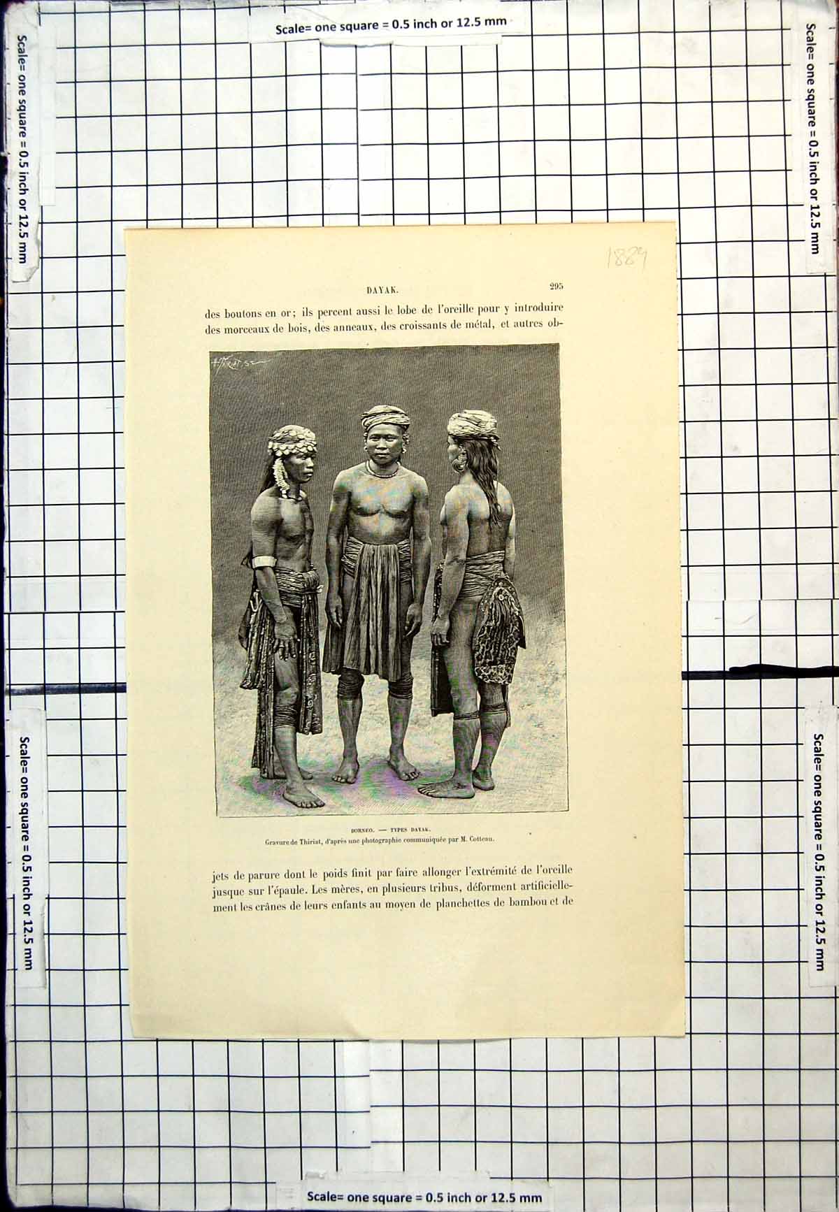 Antique Old Print Borneo Types Dayak Three Figures Local Dress Headbands 1889