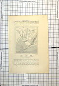 Antique Old Print Map Rivers Borneo Marabahan Negara Amoentai Tiembiron 1889