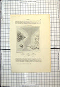 Antique Old Print Lombok Indonesia Detrit De Noesa Penida French Map C1889 19th
