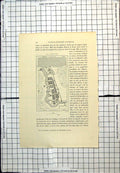 Old Print Batavia In1628 Hospital Hotelde Ville Livoeng French Map C1889
