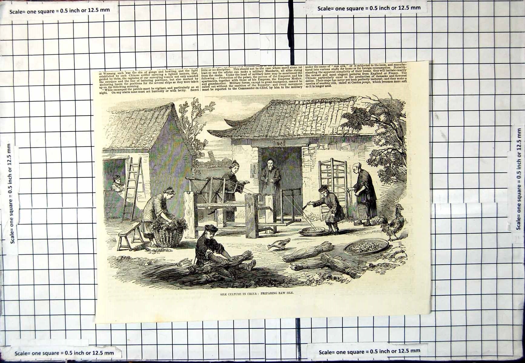 Antique Print Silk Culture China Preparing Raw Silk Outdoors Frames Chicken