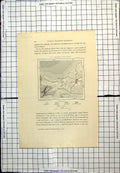 Antique Print Sumatra Indonesia Kota-Radja Port D'Oler Leh French Map C1889