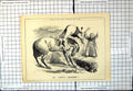 Antique Old Print Punch An Awful Cropper Man Falls Horse Sight Reform 1876 19th