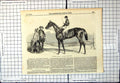 Old Antique Print Marchioness Horse Winner Oaks Epsom Jockey Admired 1855 19th