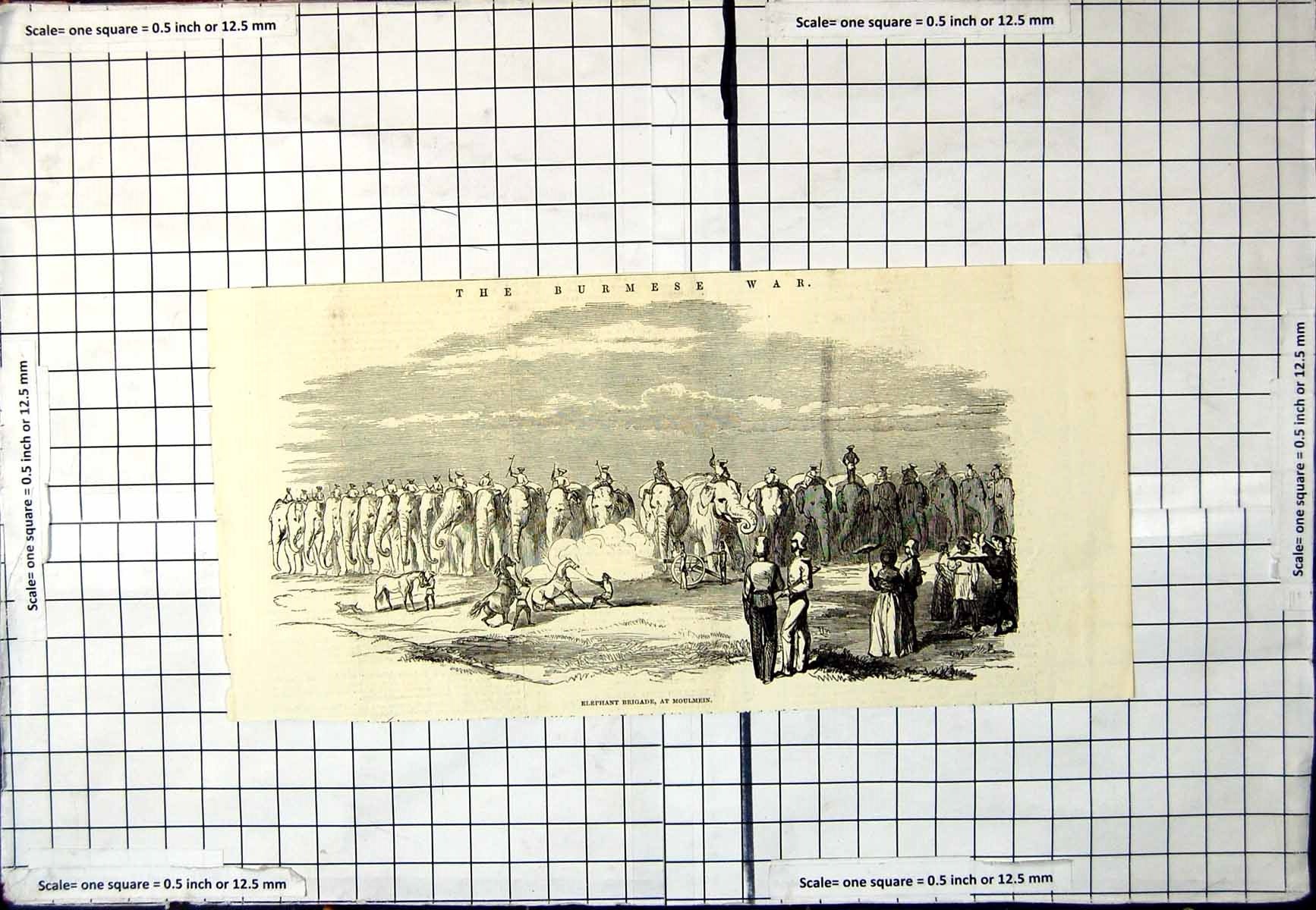 Original Old Antique Print Elephant Brigade Moulmein Burmese War Horses Cannon